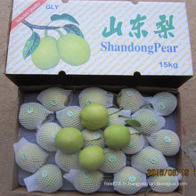 L&#39;exportation de poire Shandong frais vers l&#39;Inde dans un carton de 15 kg